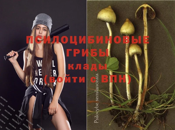 соль ск Верхний Тагил