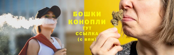 соль ск Верхний Тагил
