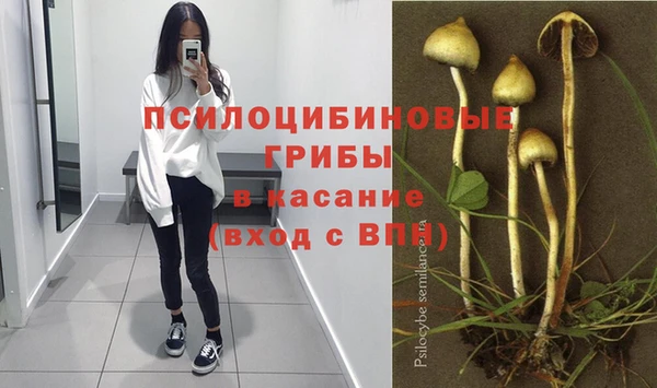соль ск Верхний Тагил