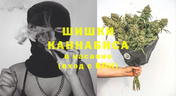 молекула духа Бородино