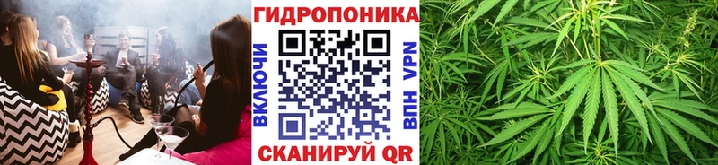 Бошки марихуана сатива  Купить  Любань 